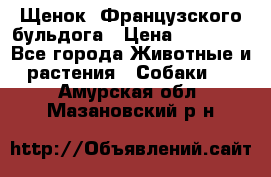 Щенок  Французского бульдога › Цена ­ 35 000 - Все города Животные и растения » Собаки   . Амурская обл.,Мазановский р-н